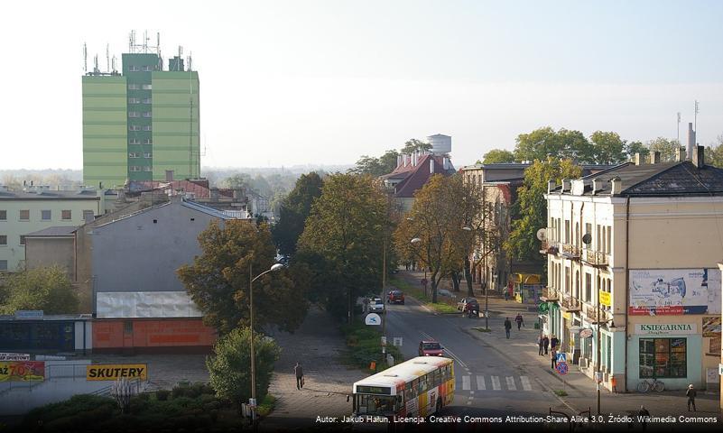 Kamienna (Ostrowiec Świętokrzyski)